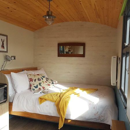 Dingle Way Glamping Annascaul Hotell Exteriör bild