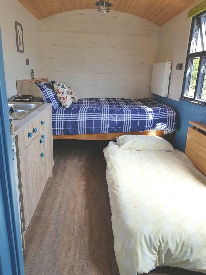 Dingle Way Glamping Annascaul Hotell Exteriör bild